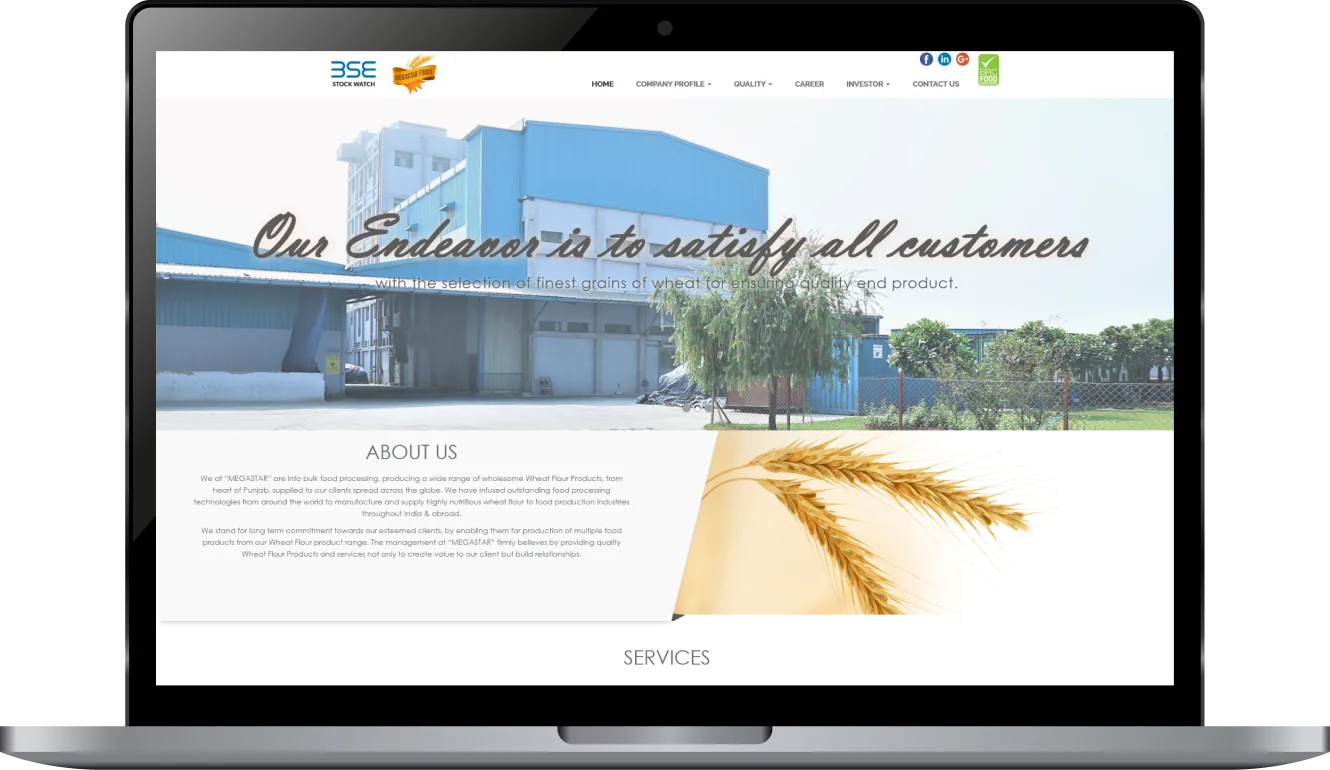 Web Design