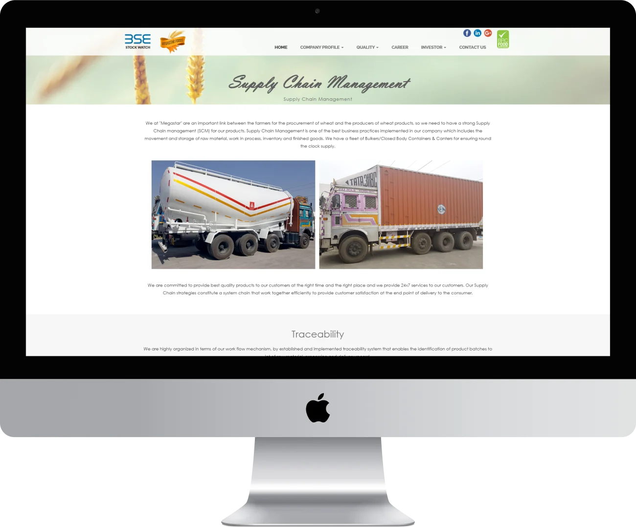 Web Design
