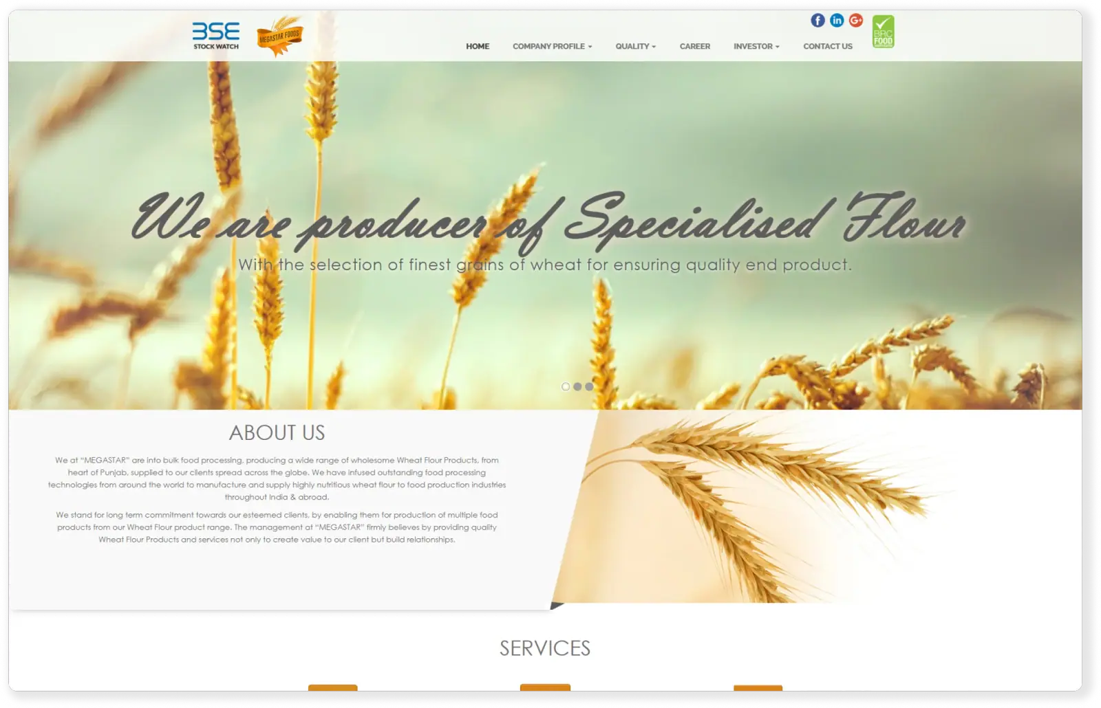 Megastar Foods website portfolio screenshot — Fruxinfo
